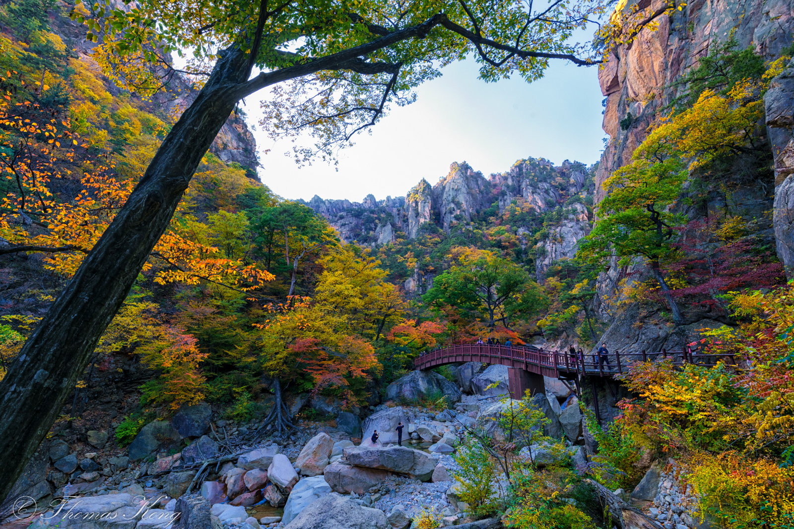 Gangwon
