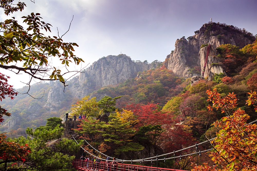 2-Day Mt. Naejang & Jeonju Hanok Village