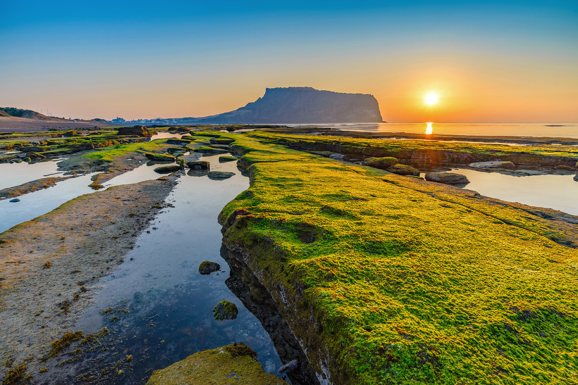 Jeju