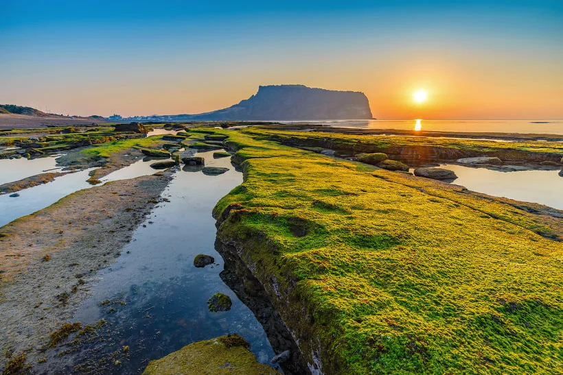 Jeju